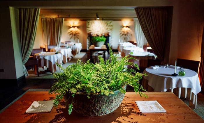 Hotel dining area